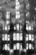 The Palace Series